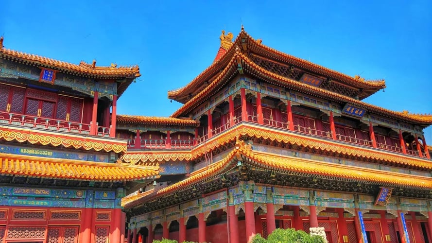 GoElite.com B2B Blog Photos-3